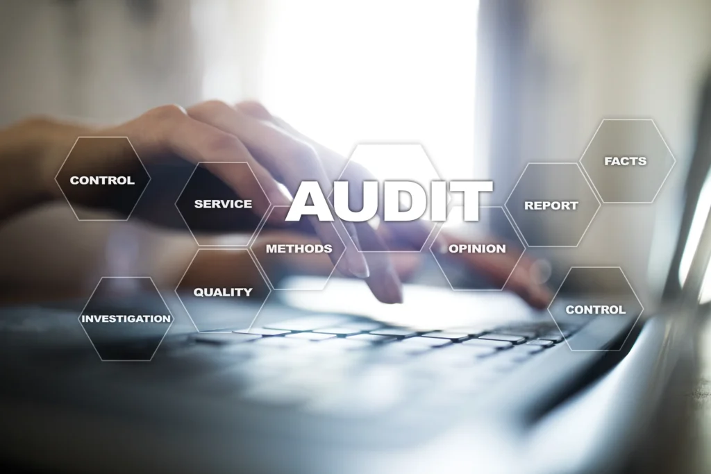 USLUGE – Premium Audit DOO